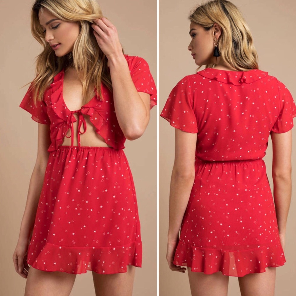Toby Red Star Print skater Dress